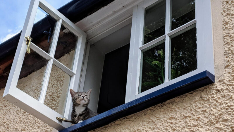 Windows